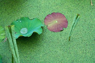 《GT赛车7》正式发售 官方公布游戏开场动画